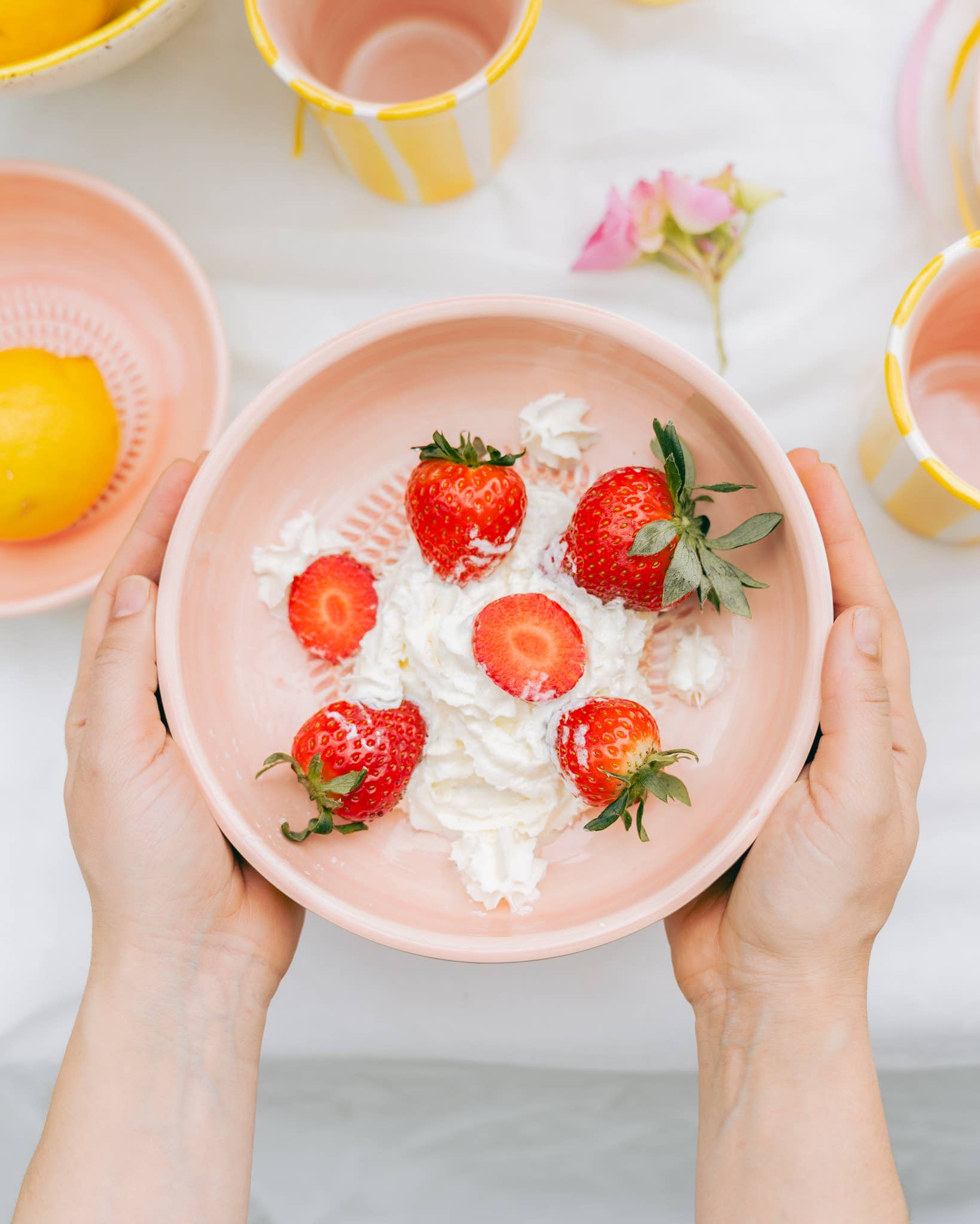 Alfar Tierra Cocida - Wholesale Grater - Large Pottery Grater Plate – Includes Gift Spoon / VALENTINA7