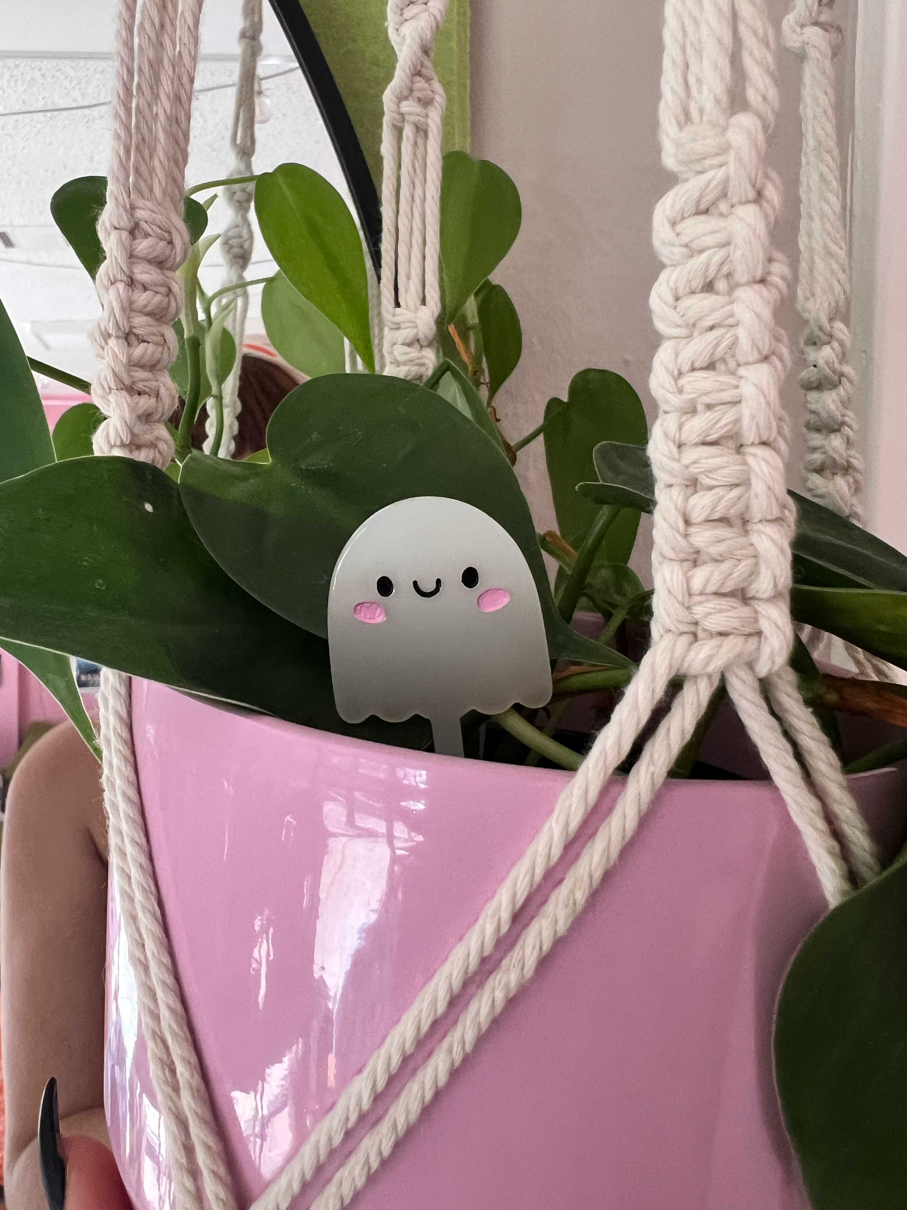 Jollie Ollie Designs - Wholesale Garden Gnome - Ghost Plant Pal2