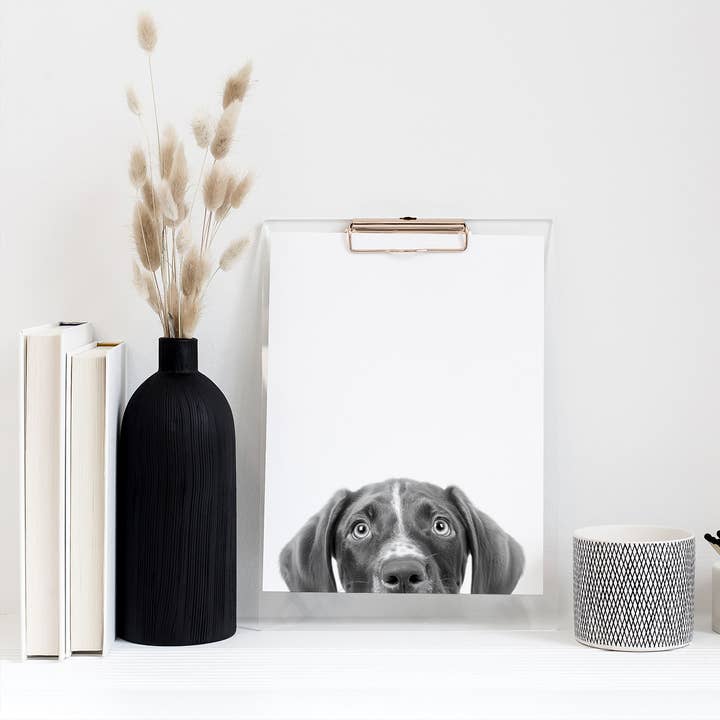 German Shorthair Pointer (GSP) Unframed Peeking Print for wholesale by Perkie Prints