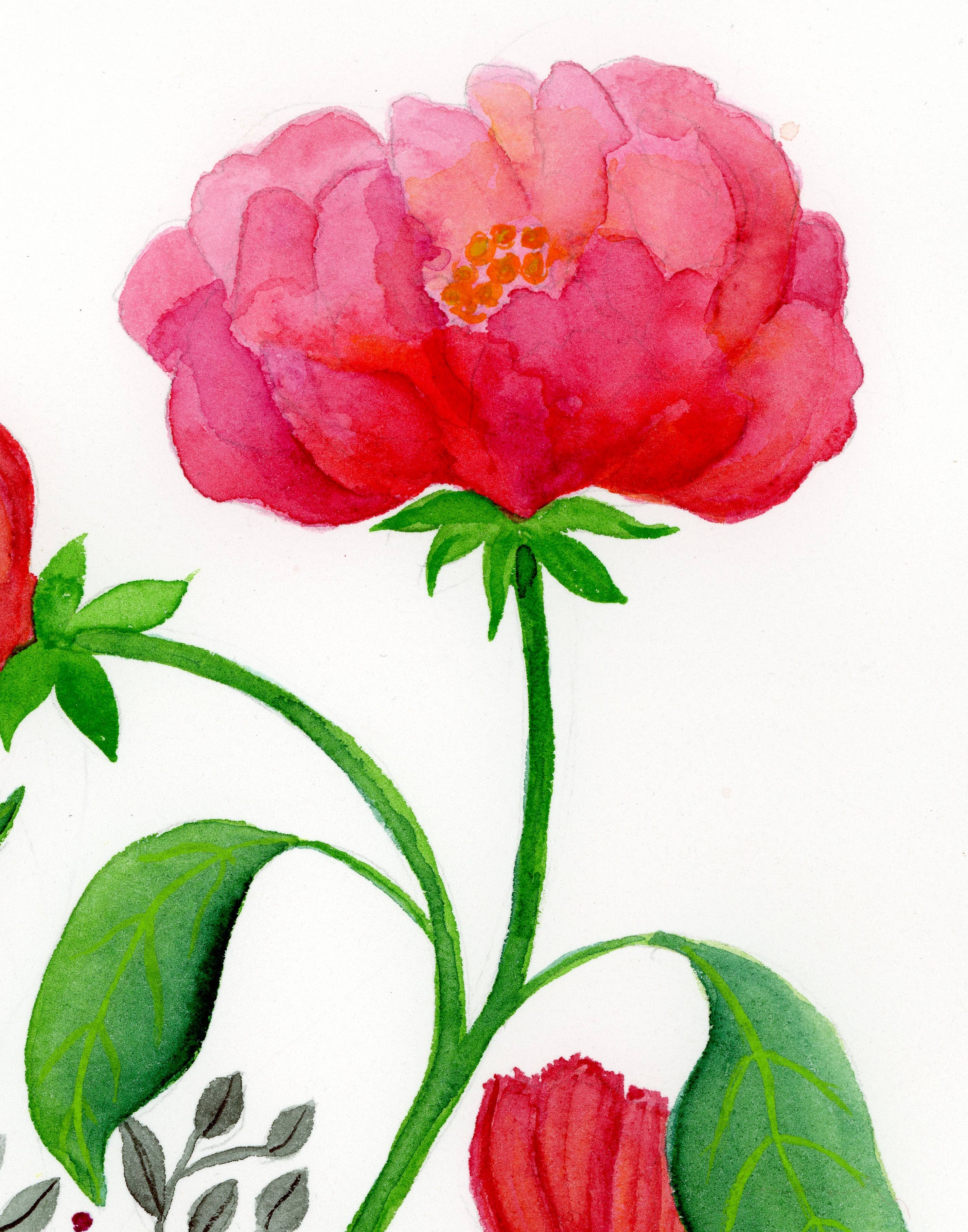 Jen Ray Studio - Wholesale Art Print - Floral Watercolor Giclee Fine Art Print1