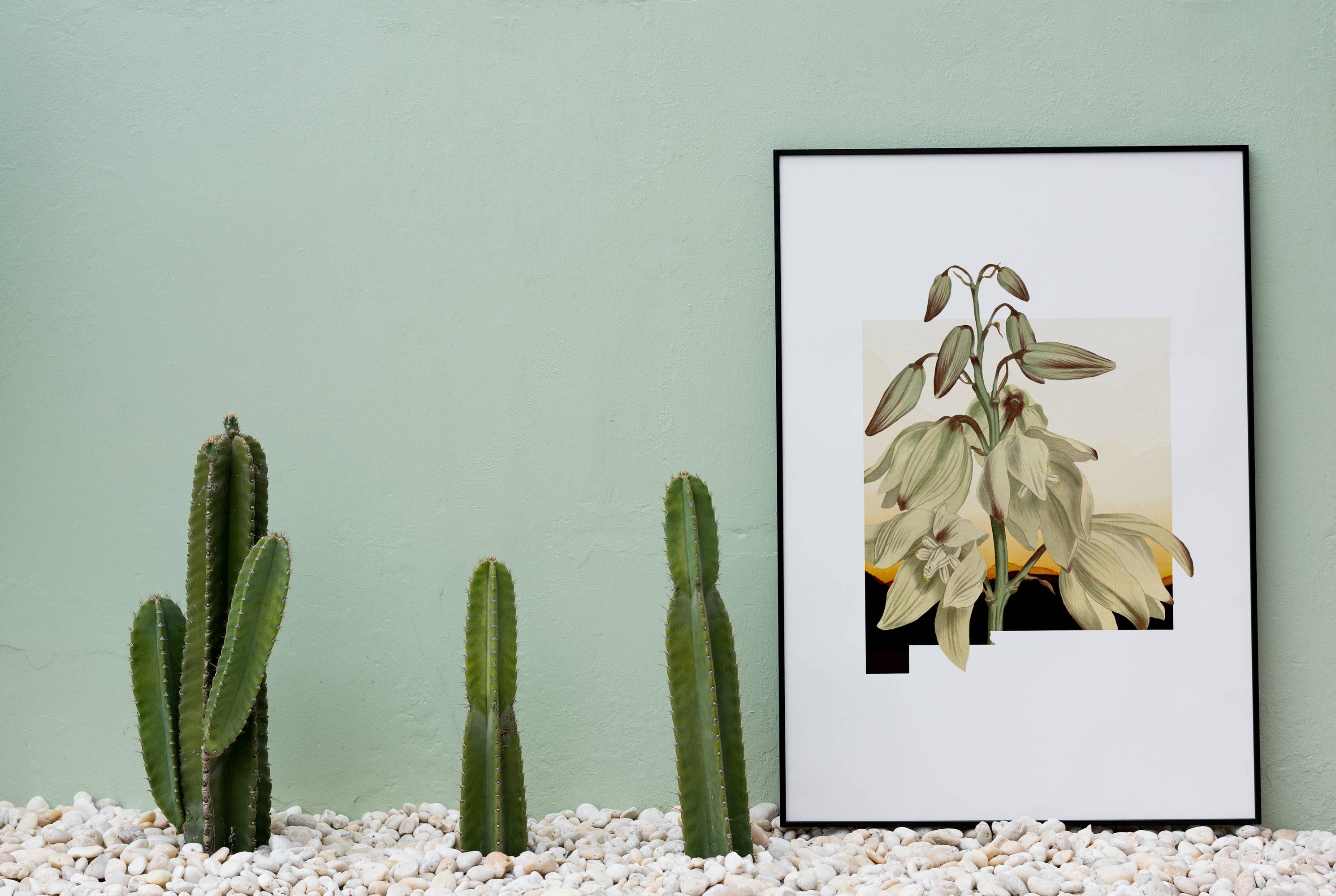 Paperfinch Design - Vendita all'ingrosso Stampa artistica - New Mexico Yucca | serie di stampe floreali statali3