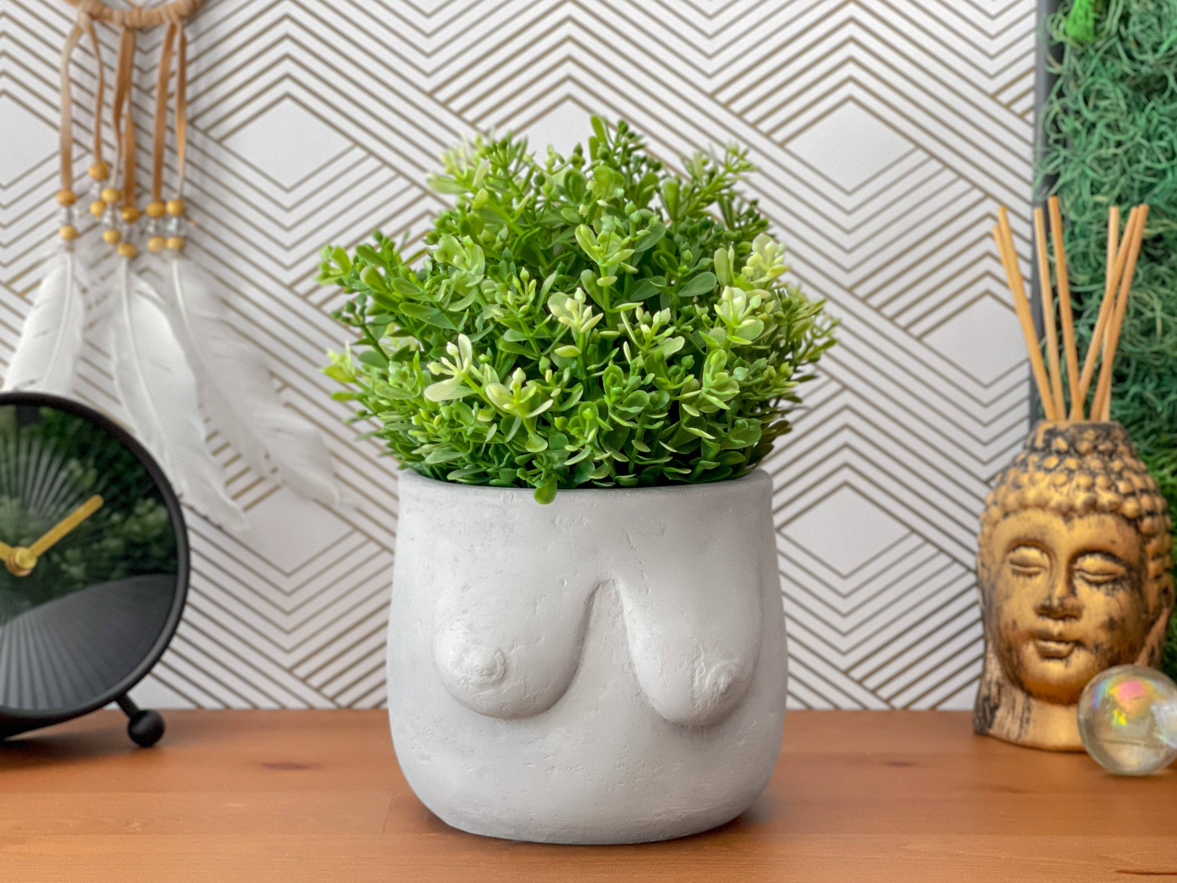 Planters Made in the USA - Wholesale Plant Pot - Boobs Planter, Woman Body Pot, Female Torso Decor, Breast4