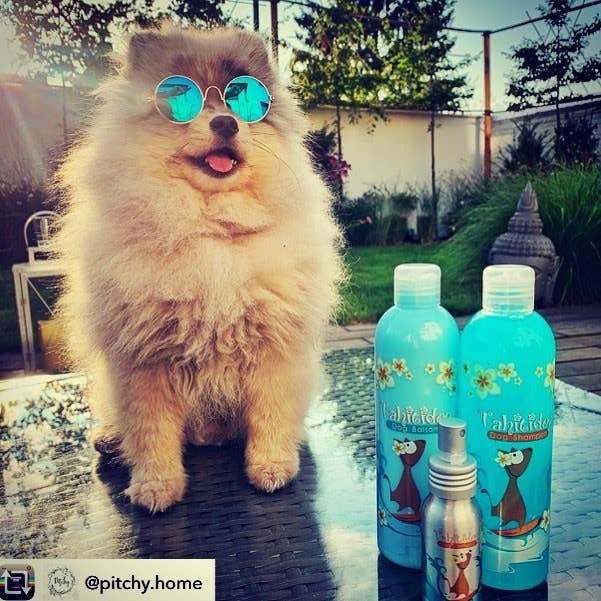 k'wouaff – wholesale Pet shampoo – Dog – Diamex Tahiti Dog Monoi Fragrance Conditioner1