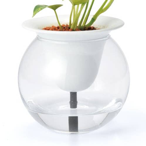 Vaso de Plantador Autoregável de Absorção de Água Automática em Cerâmica por atacado de Kubota Minoru Ceramics Co.