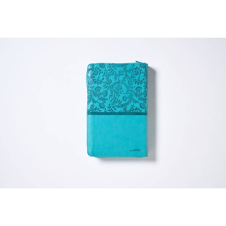 HarperCollins Christian Publishing - Wholesale Religion - RVR60, Santa Biblia, Tierra Santa, Ultrafina, Letra grande, 2