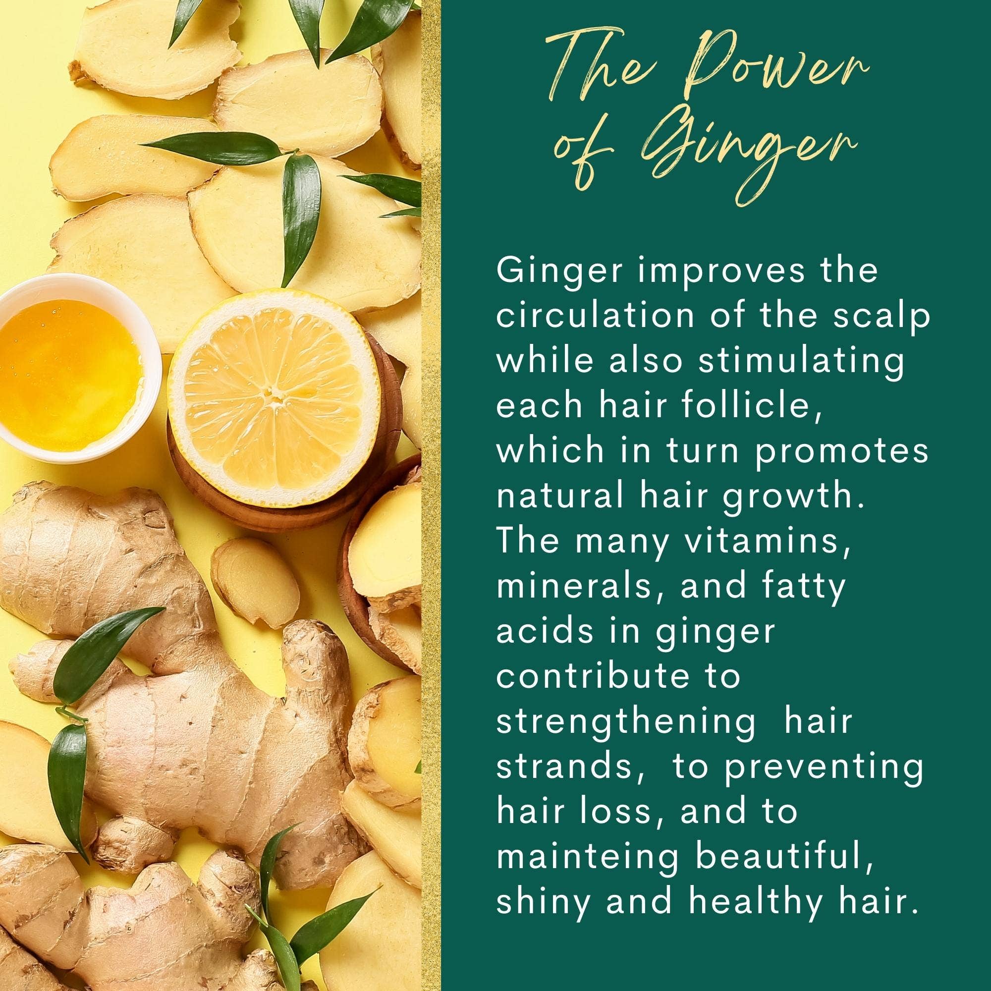 The Sacred Essence – wholesale Scalp/hair treatment – FIFTH DIMENSION RICE WATER - Hair Strength Superpower12