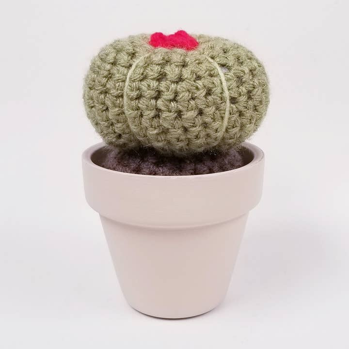 Cact (l) - 02 for wholesale by C Yarn Hut