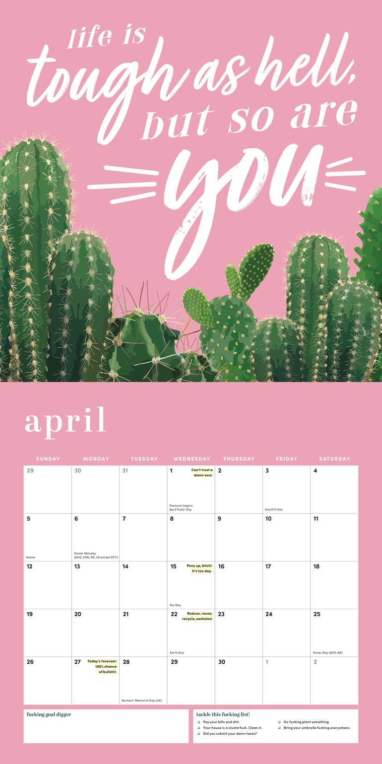 Sourcebooks - Wholesale Calendar - 2026 She Believed She Could So She F*cking Did Wall Calendar4