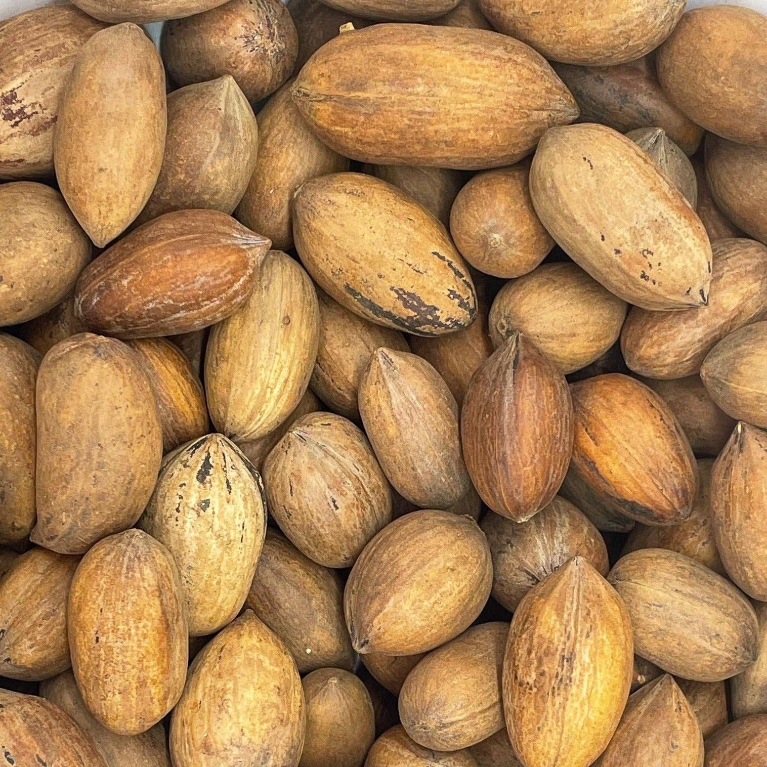 Ellis Bros. Pecans - Wholesale Nuts - Squirrel Food Bulk (25lb)1