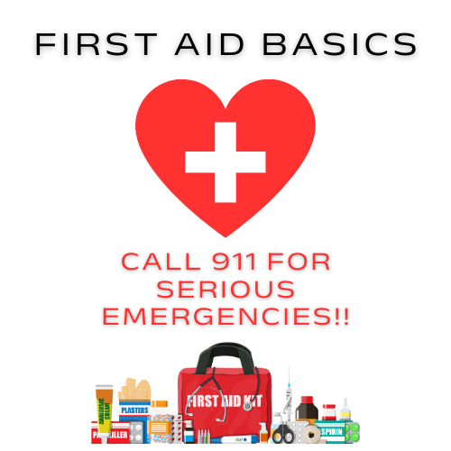 Tiny Sparrow Designs - Vente Trousse de premiers secours - Ensemble Ouch Pouch à emporter1