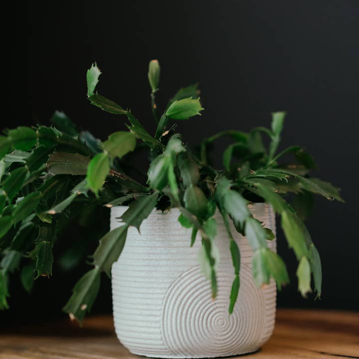 Made by Kippen - Wholesale Plant Pot - Scandi Style Planter-Now in 3 sizes!!