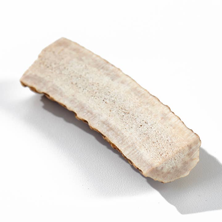 Elk Antler Dog Chew Small Split - Bagged for wholesale by Buck Bone Organics