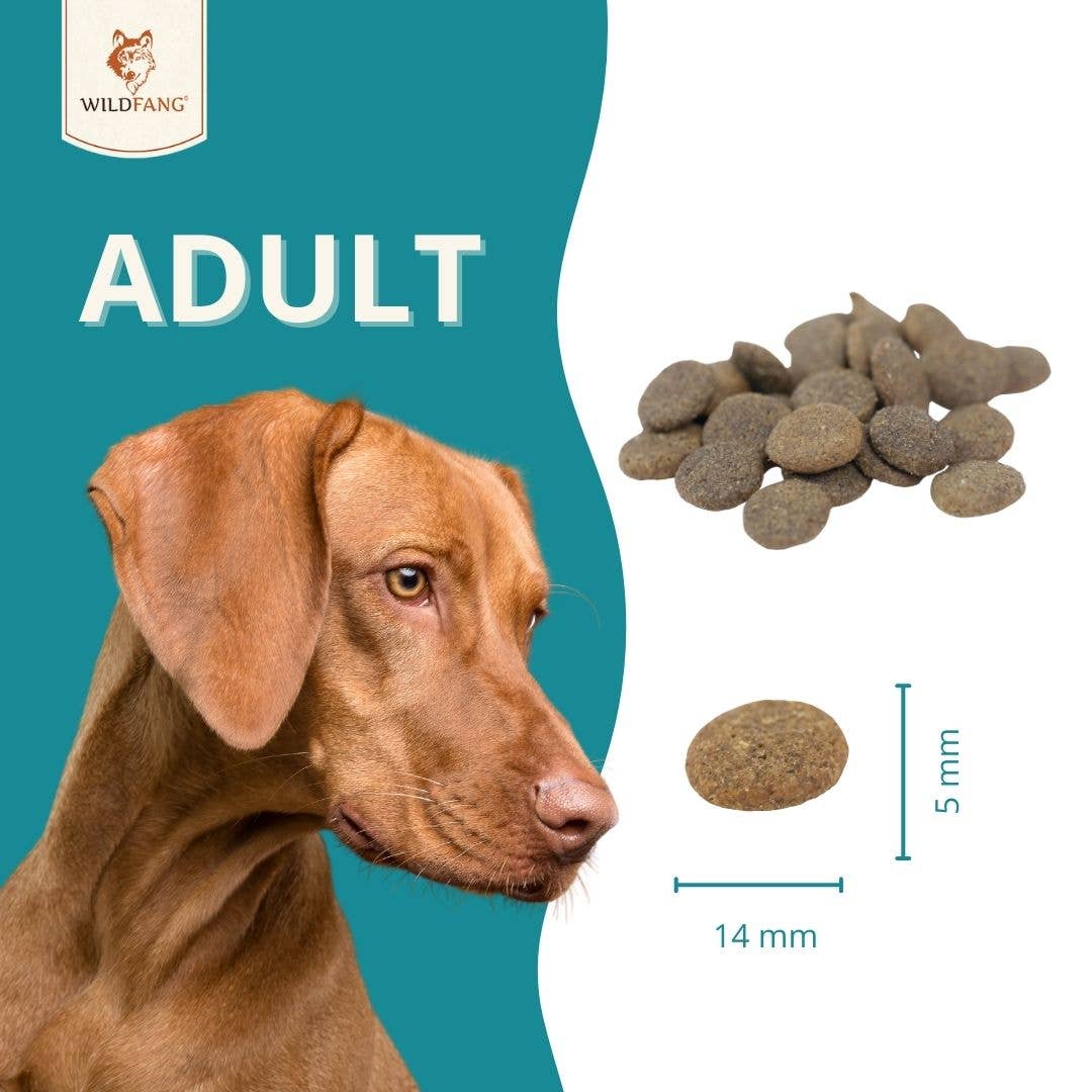 WILDFANG - Wholesale Pet Food - Dog - Adult dry food with game - grain-free5