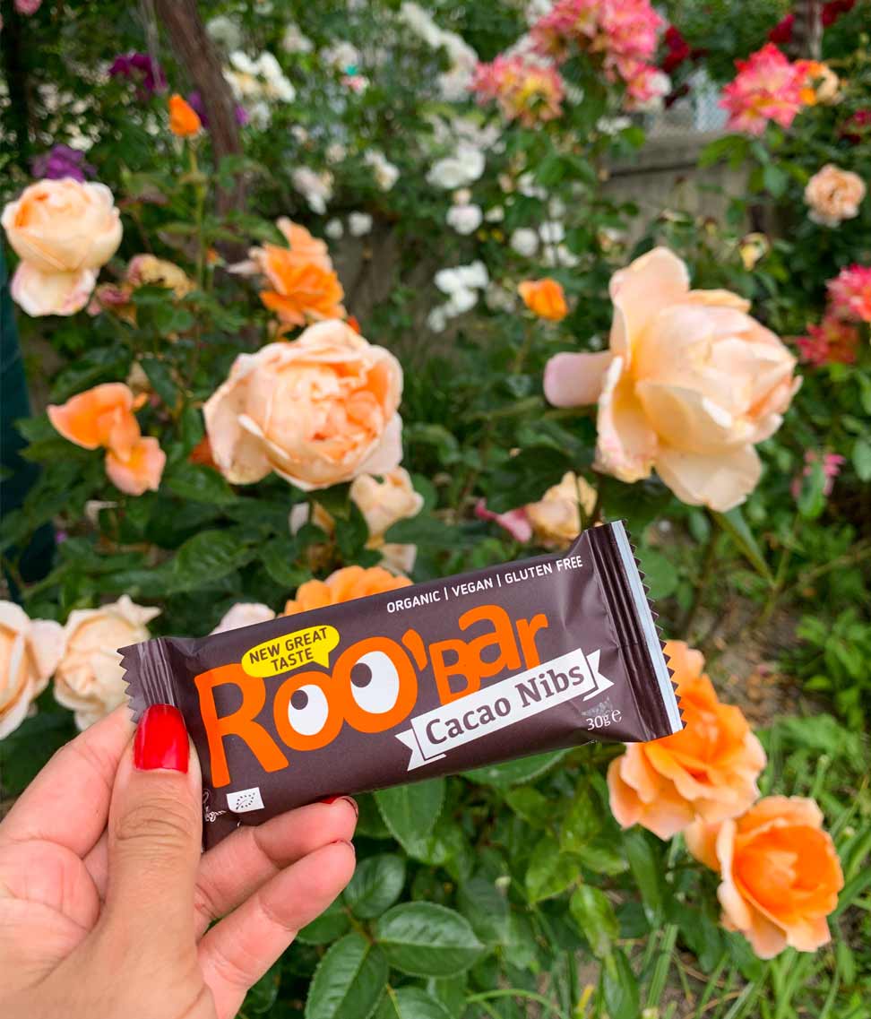 Smart Organic – wholesale Chocolate bar – Cacao Nibs Bar, Bio, Roobar, 30g4