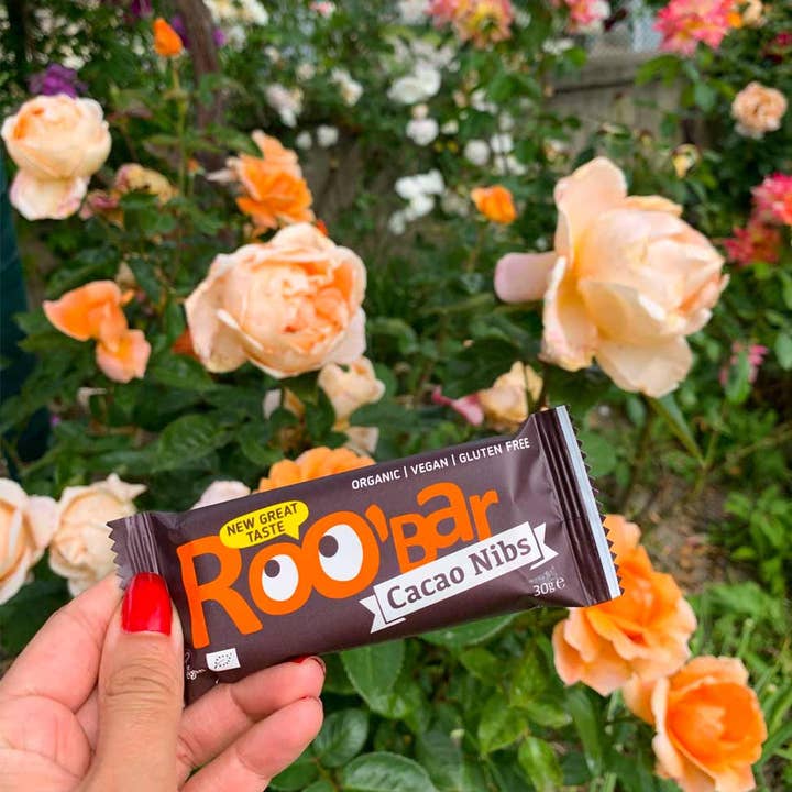 Smart Organic – wholesale Chocolate bar – Cacao Nibs Bar, Bio, Roobar, 30g4