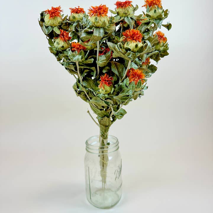 Lovejoy Farms Premium Dried Flowers – wholesale Dried/pressed flowers – Safflower - Orange Naturally Dried Flowers2
