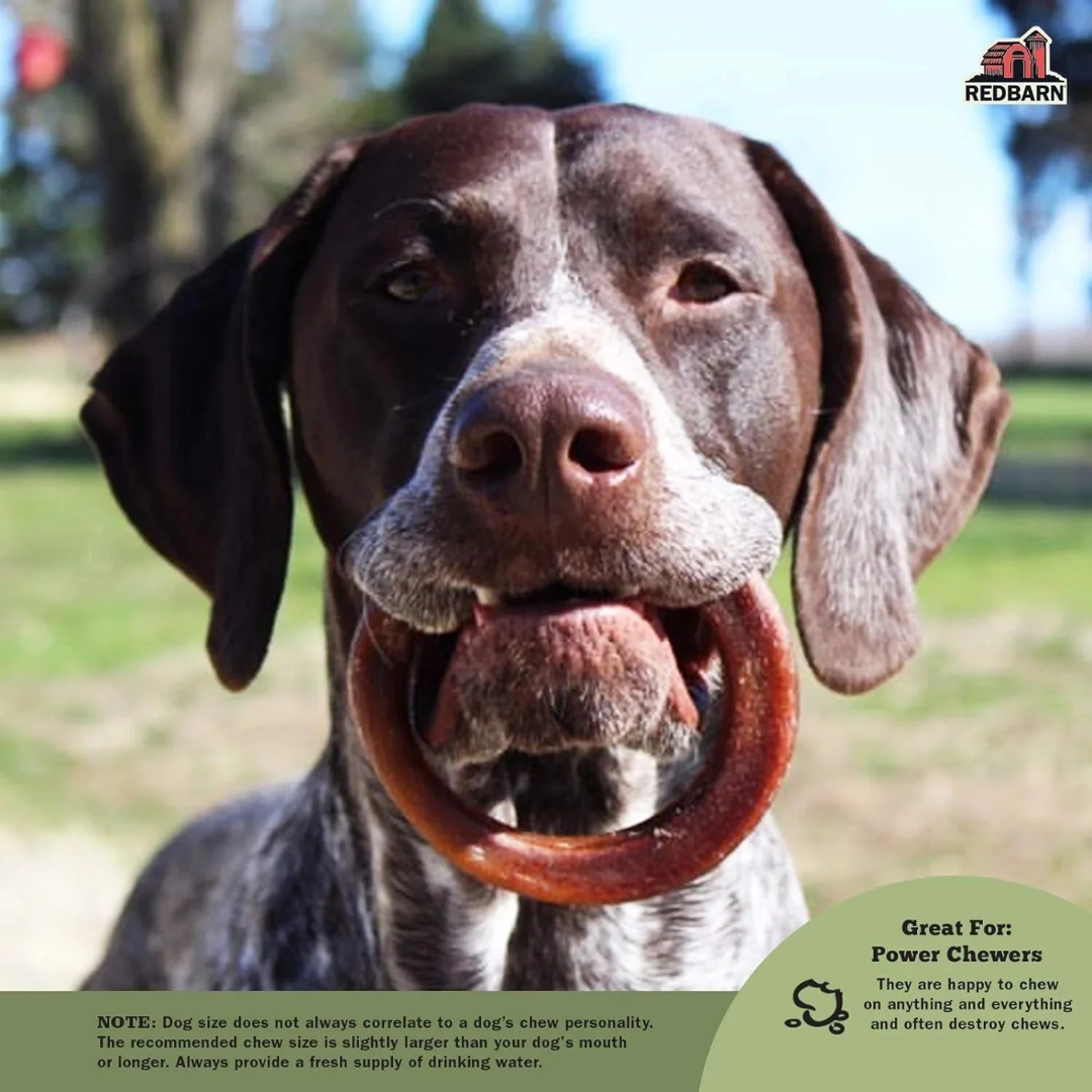 Elite Pet Distributors - Wholesale Pet Treats - Dog - Redbarn Bully Rings (Pack of 1)2