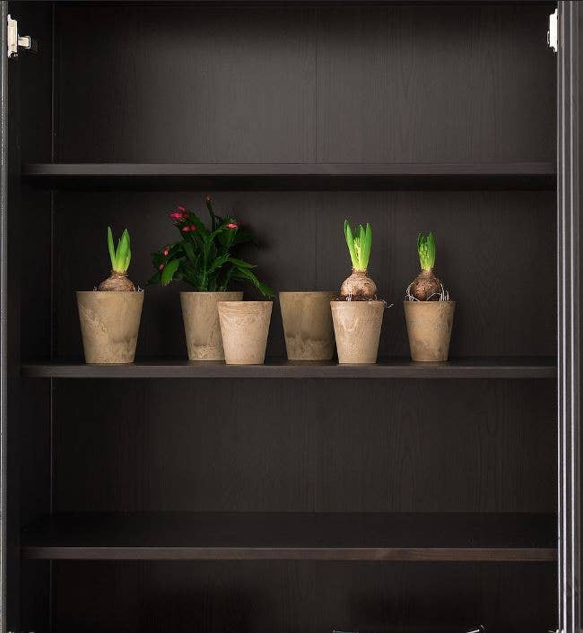 NHP International - Wholesale Plant Pot - Taupe Artstone Claire plant pots 8x9cm1