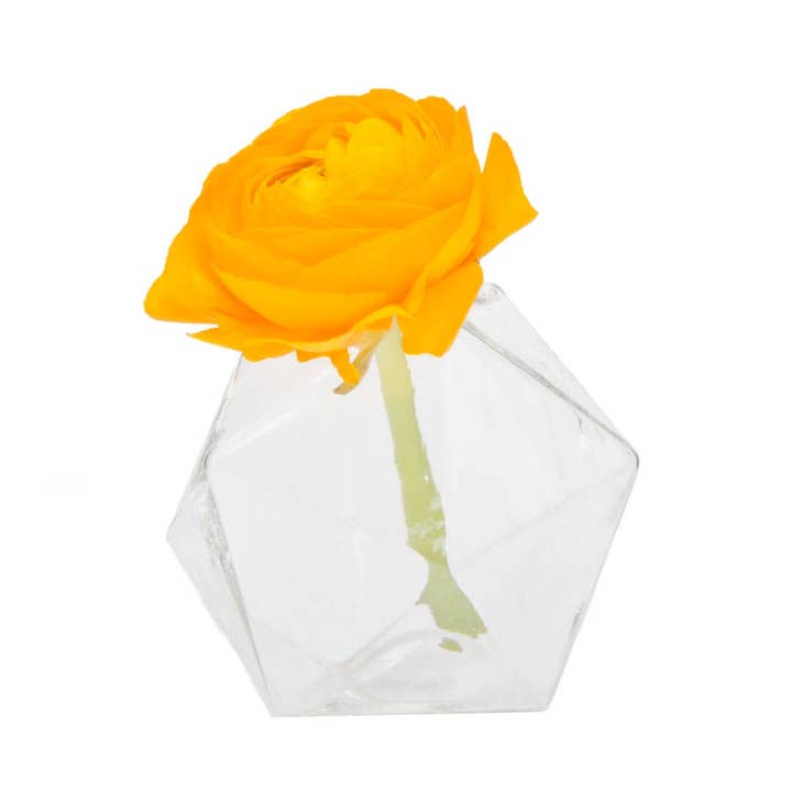 Chive Canada - Wholesale Terrarium - Crystal -Glass Terrarium1