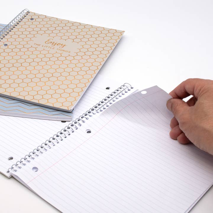 Pukka Pads North America - Wholesale Notebook - Haze 1-Subject College Ruled Notebook in 3 hot foil designs