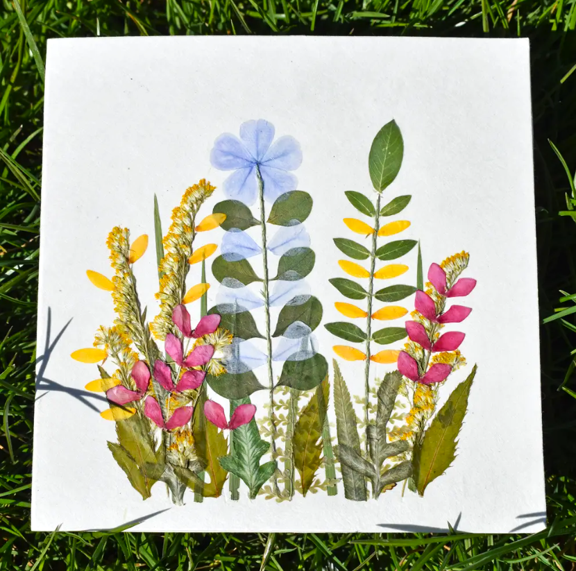 Fair to Trade Ltd – wholesale Vardagliga hälsningskort – Pressat blomkort Rättvisemärkt blomsterträdgård0