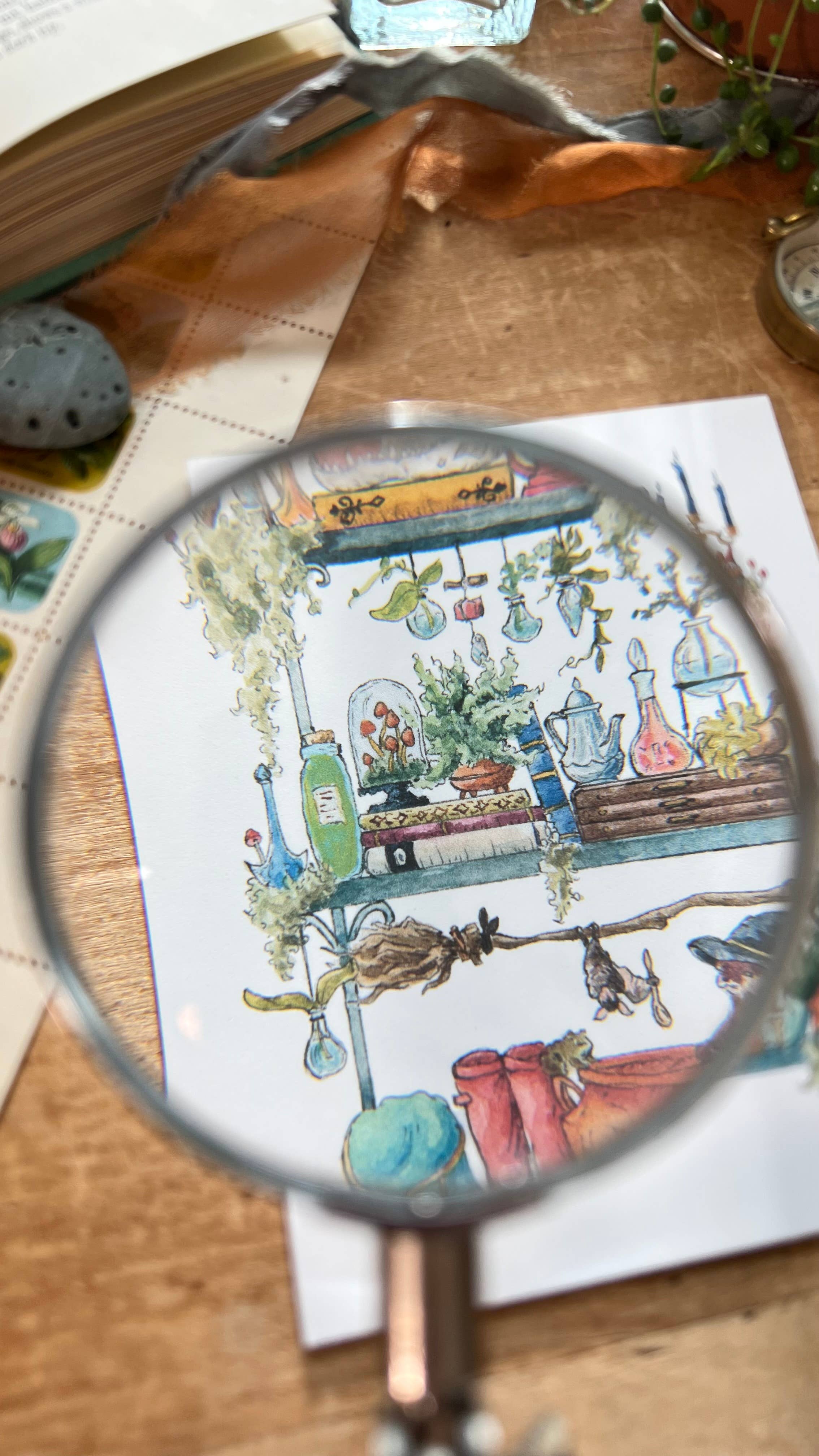 Lizzy Gass - Wholesale Postcard - The Swamp Witch's Shelves Postcard2