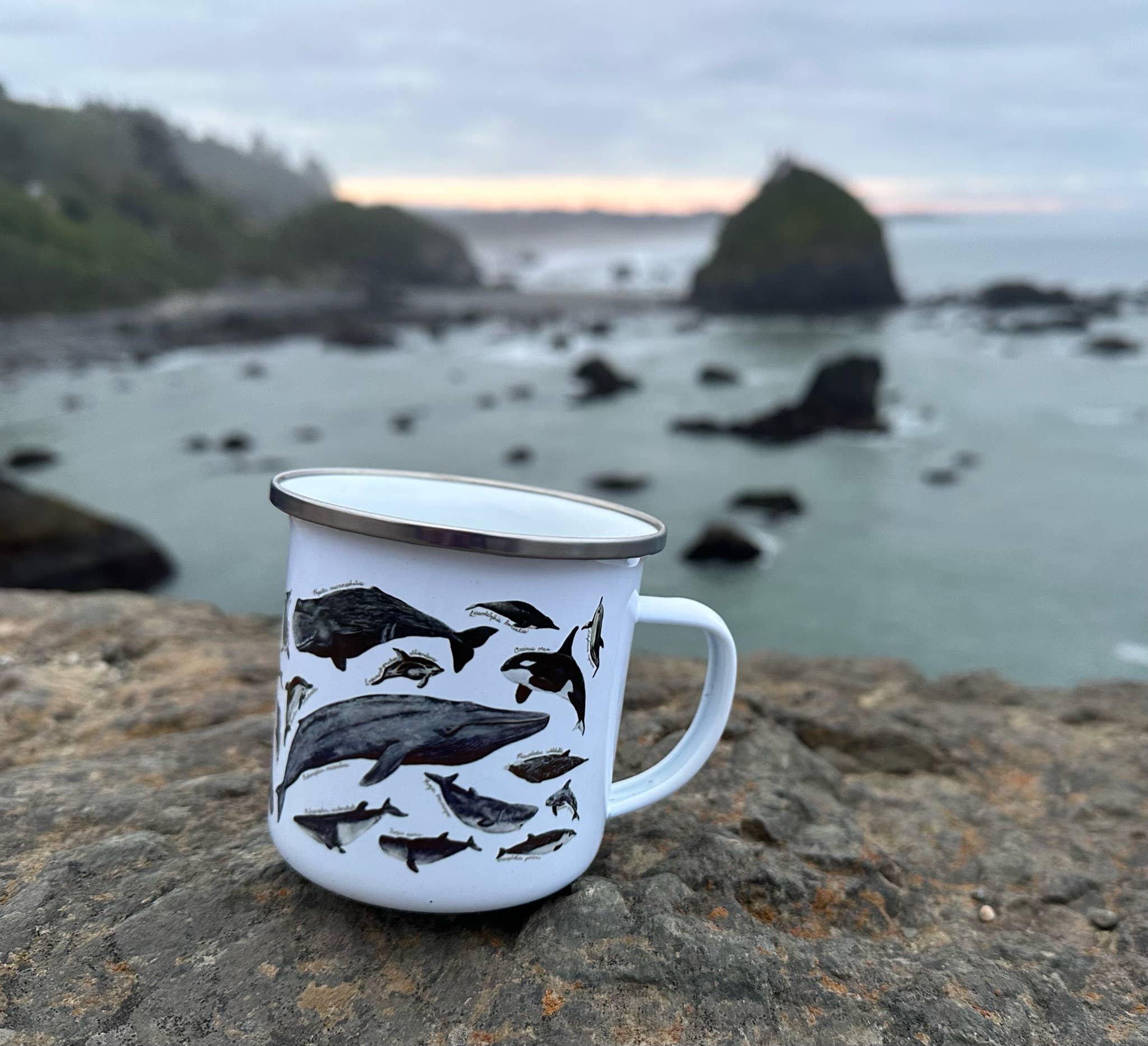 Brush & Bark - Wholesale Coffee Mug - Whales and Dolphins Camping Mug