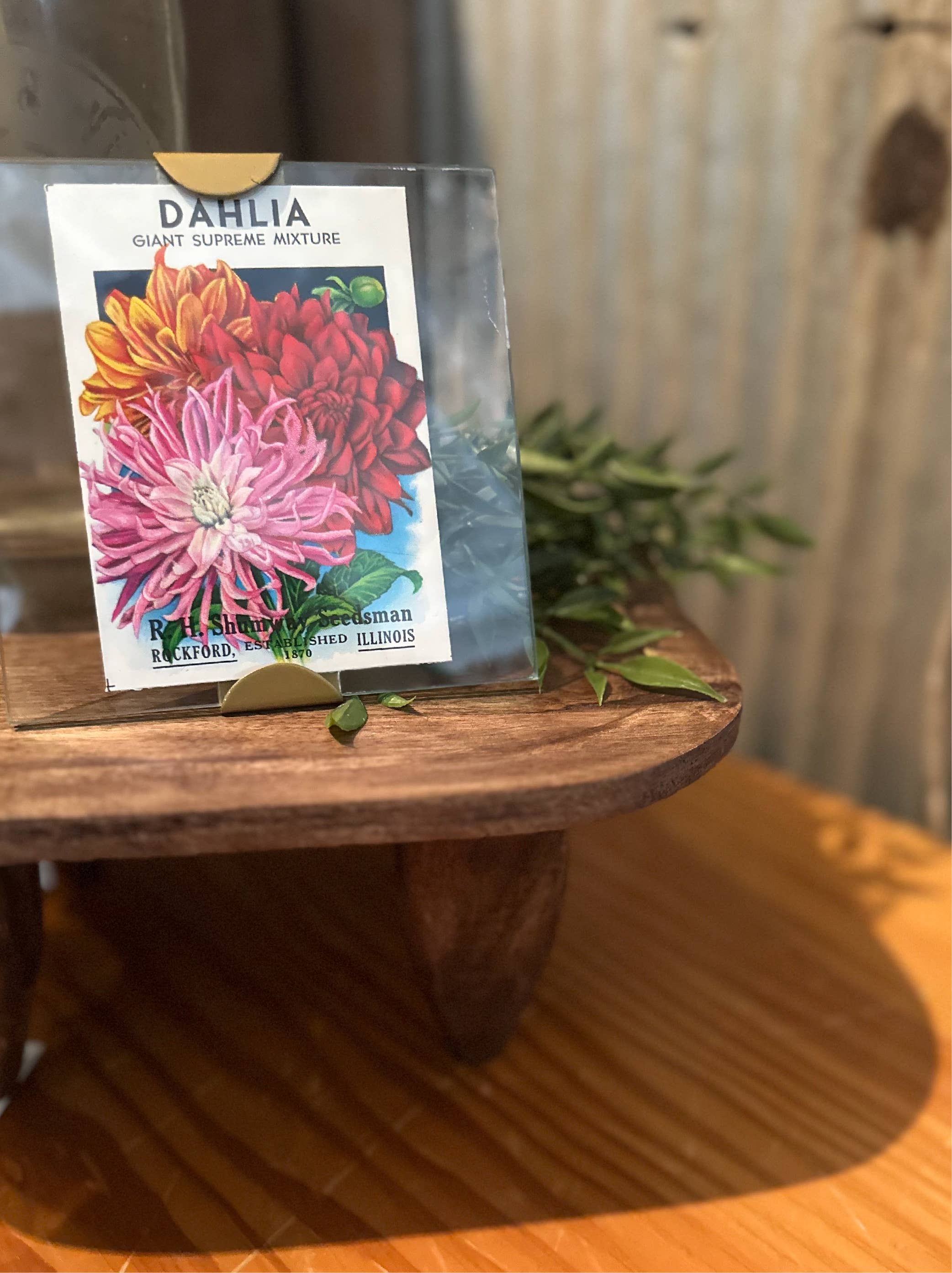 Made Market Co. – Großhandel Bilderrahmen – Rahmen 5X5 Scallop4