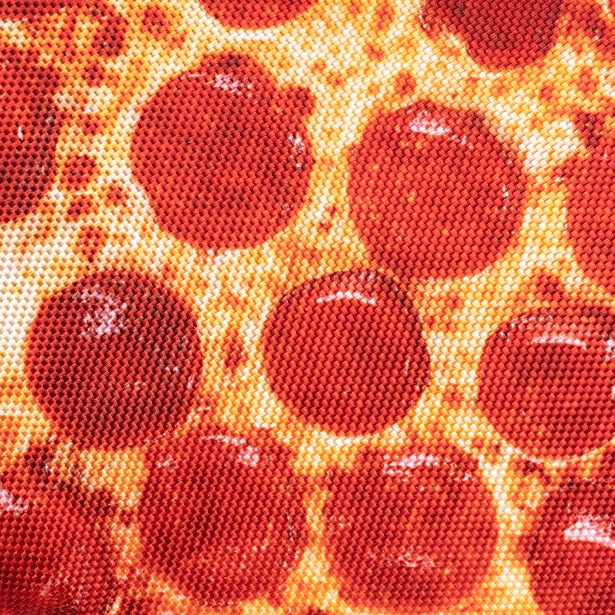 IGSM LTD - Wholesale Pet Plush Toy - Dog - FABDOG 10'' Pizza Toy for Dogs1