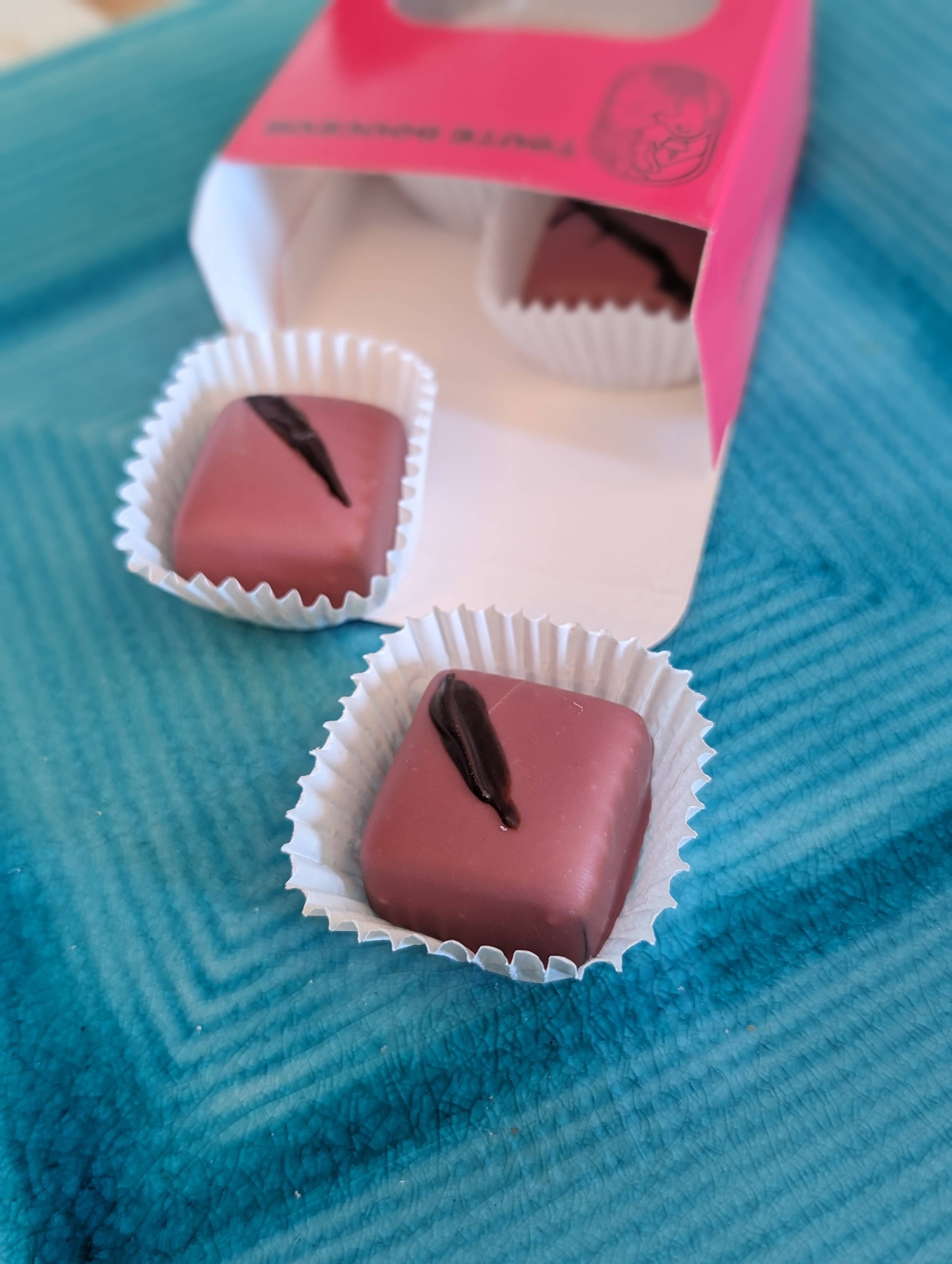 Toute Douceur Candy - Wholesale Chocolate Covered Sweets - Chocolate-Dipped Caramels – Giftable, Decadent, Small Batch9