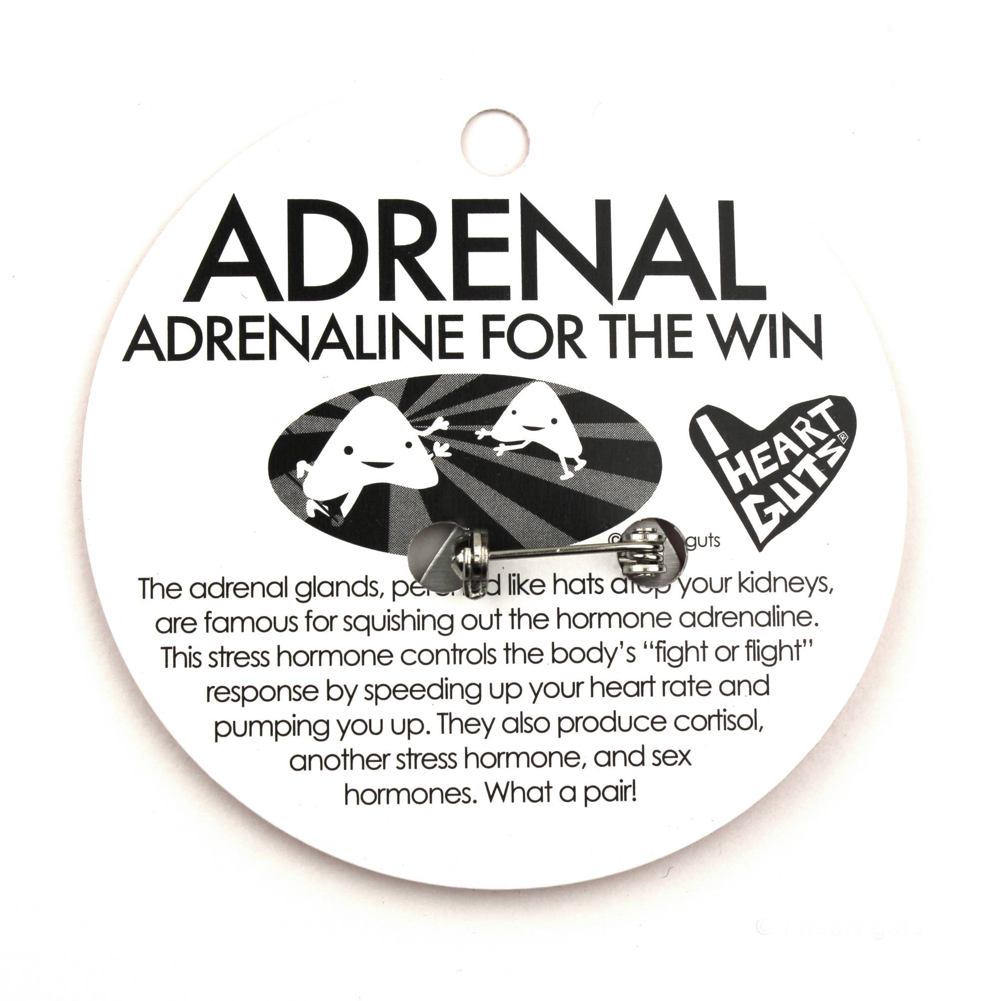 I Heart Guts | Organ Plushies Wholesale - Wholesale Lapel Pin/Button - Adrenal Gland Lapel Pin - What a Rush!4
