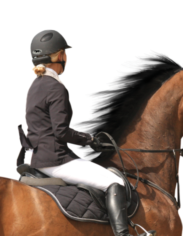 Horse Hollow Press - Wholesale Sticker - Horse Laptop, Cell Phone & Helmet Sticker / Grand Prix Jump3