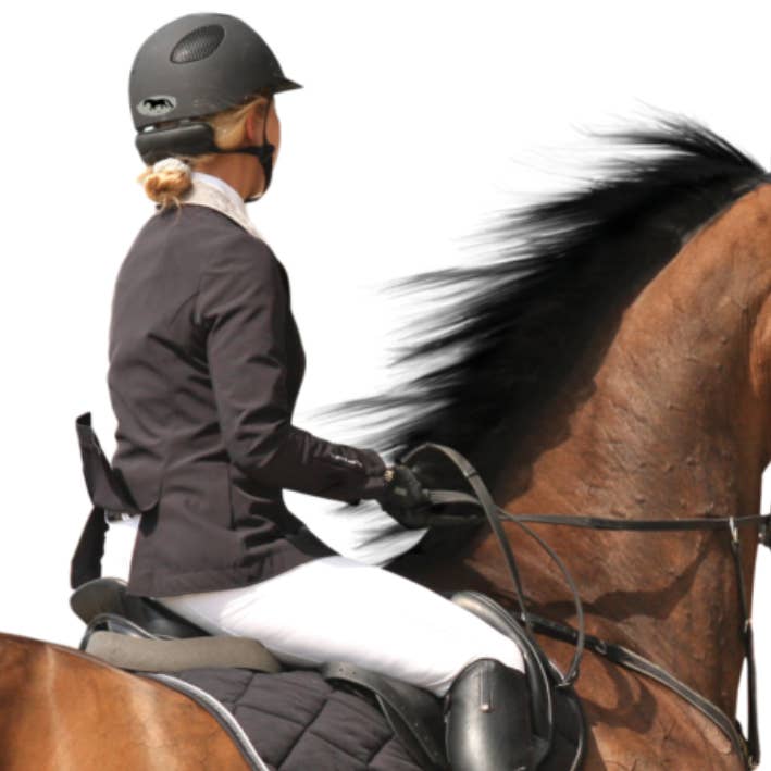 Horse Hollow Press / Pretty, Funny, Snarky Cards & Stickers - Wholesale Sticker - Horse Laptop, Cell Phone & Helmet Sticker / Riding Therapy 3