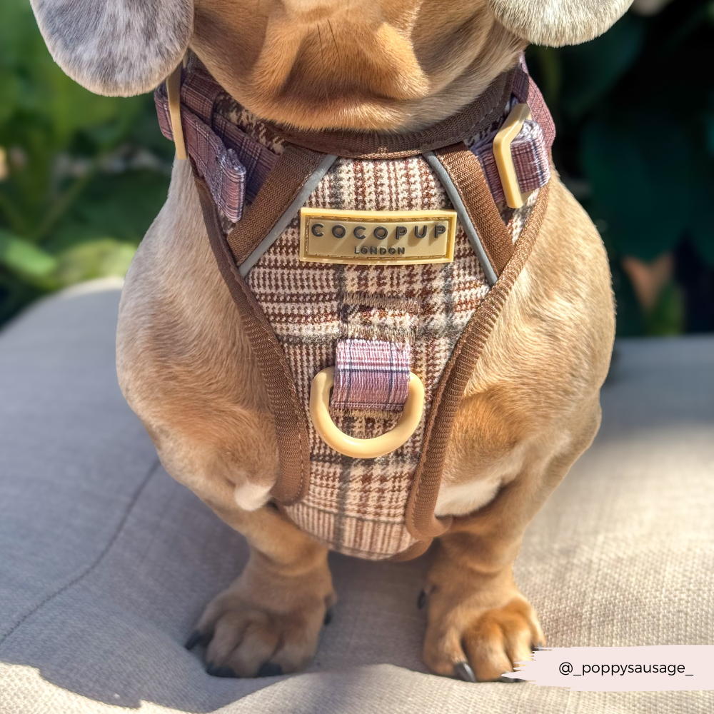 Cocopup London – wholesale Pet harness – Dog – Explore Harness - Pup Plaid15