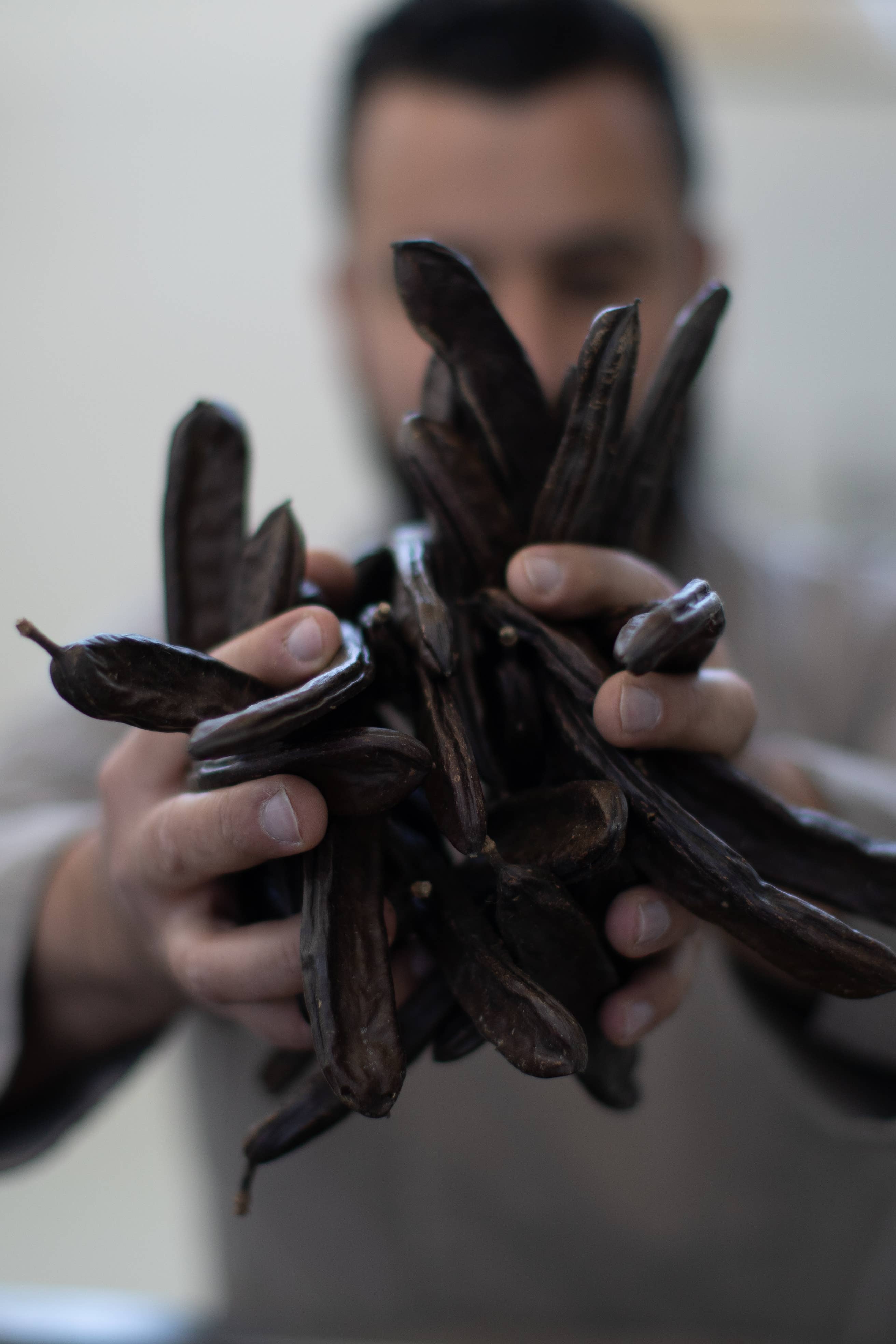 Ciokarrua – wholesale Snack bar – Carrubato di Sicilia, Toasted Hazelnut, 50 gr, organic4