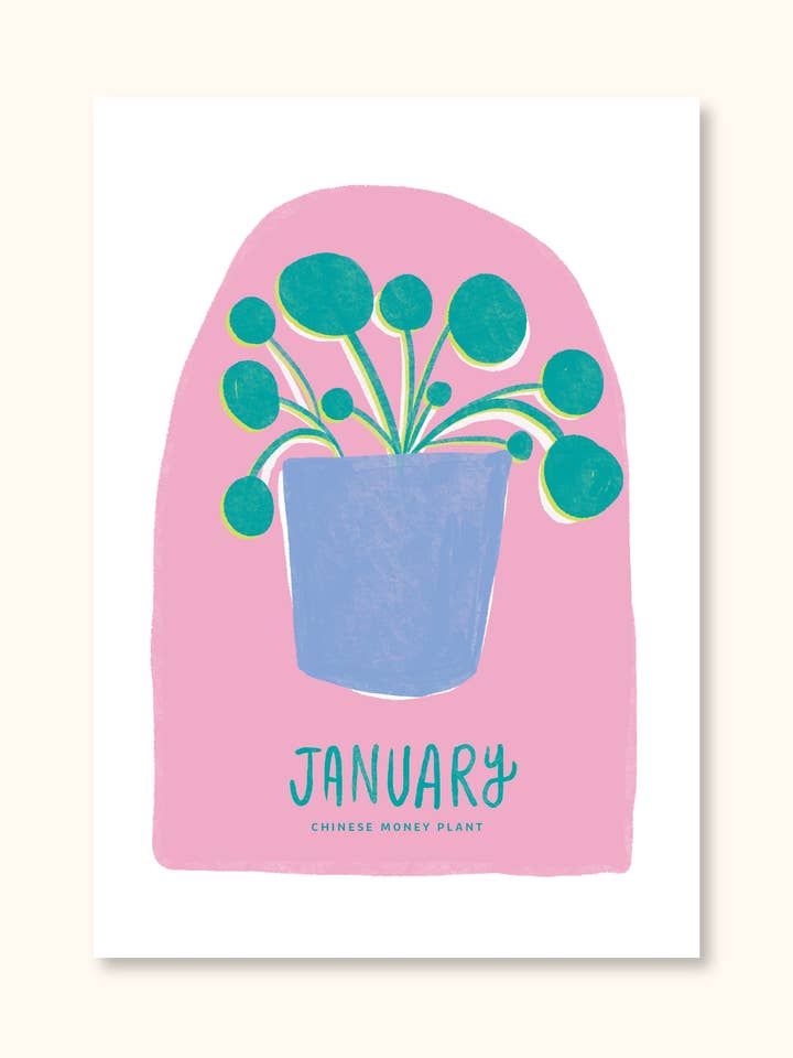 JANUARY for wholesale by Palm House Studio