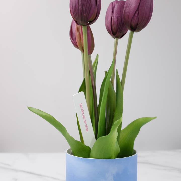 Nodito - Wholesale Artificial Flowers - Tulip Surreal Magritte Edition No.95