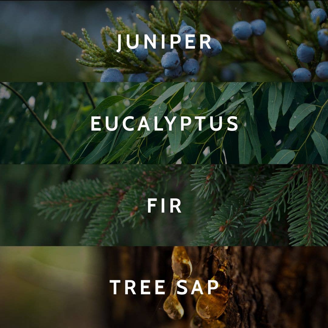 Little Torch - Wholesale Jar/Filled Candle - taiga candle (juniper, fir, and tree sap)2