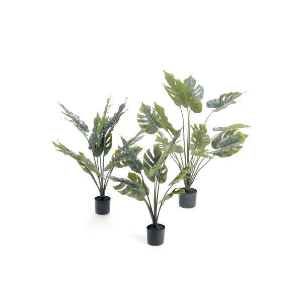 Studio Specialties - Wholesale Artificial Plant - SPLIT PHILO 32" W/POT