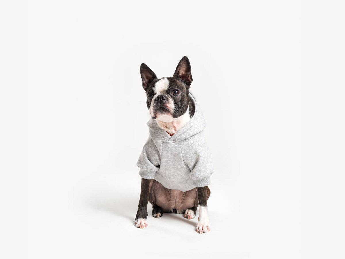 French Bandit - Wholesale Pet Hoodie - Dog - Hooded hoodies for dogs4