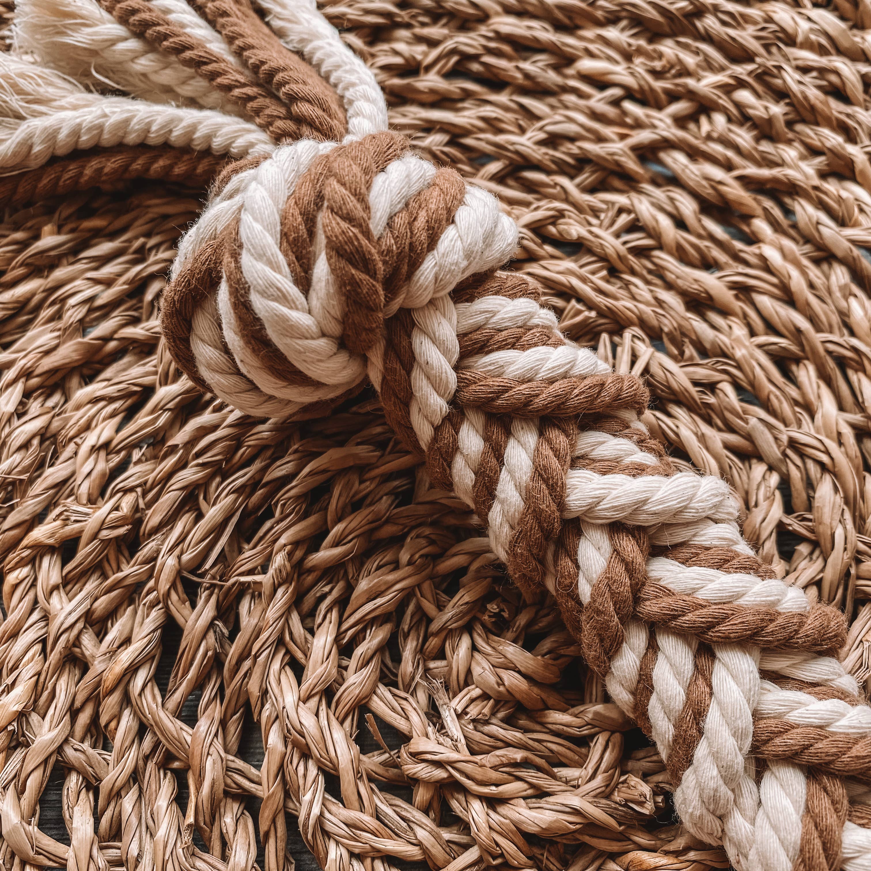 ECO4PAWS - Vendita all'ingrosso Giocattolo di corda - Cani - Coffee Tug of War Rope cane giocattolo0