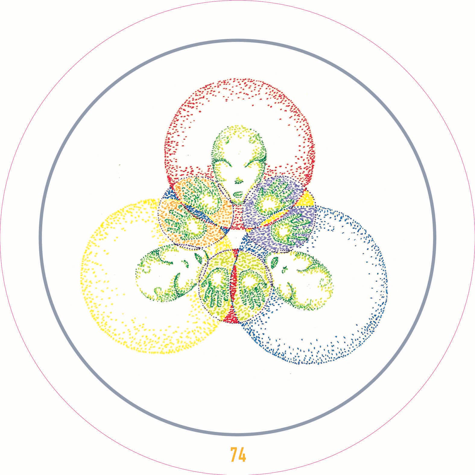 REDFeather - Wholesale Tarot Cards - Transparent Oracle: Oracle Kit with 77 Cards and Guide Book9