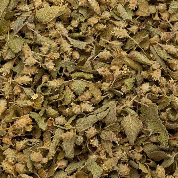 Mexicansk oregano for engroshandel hos Timbo’s Spice