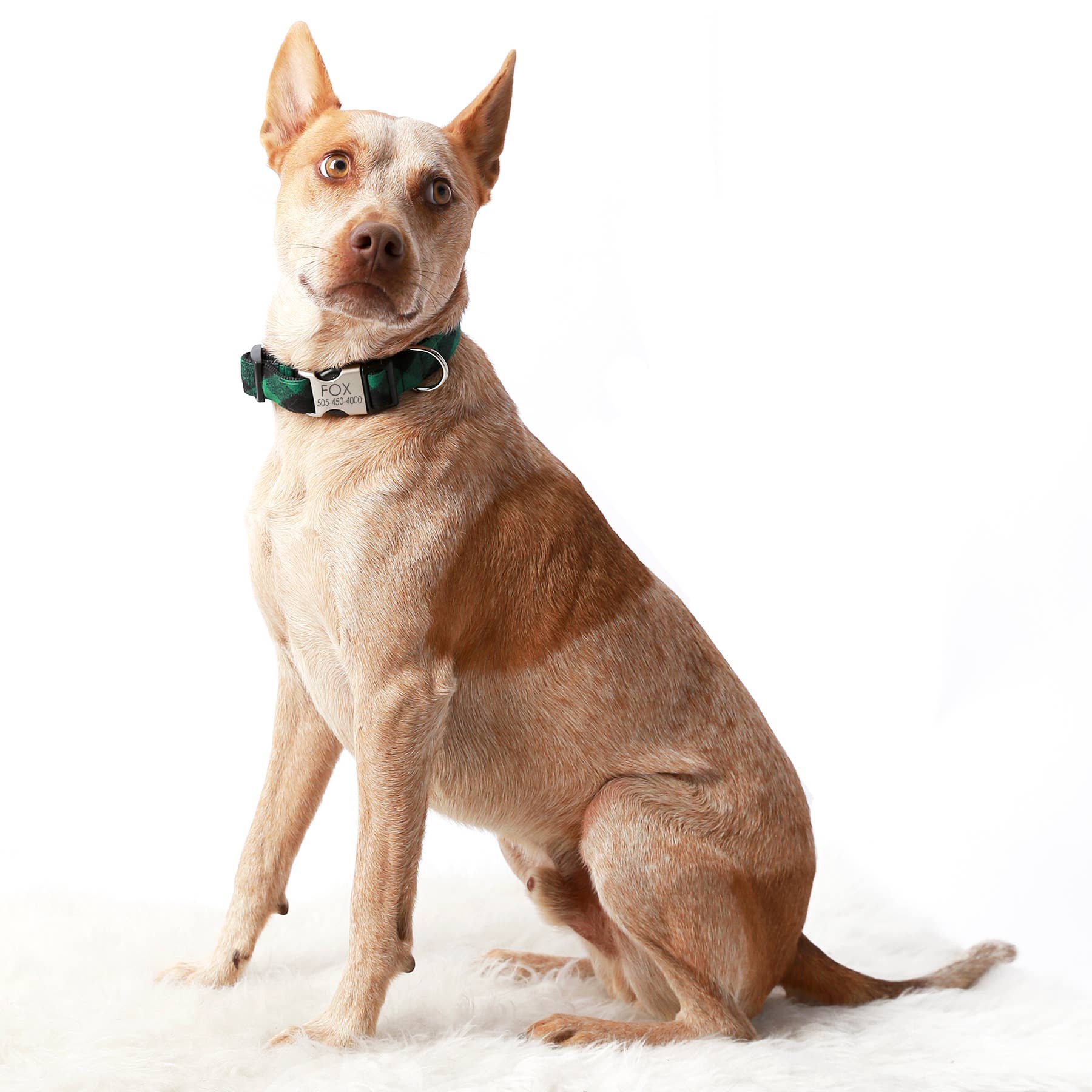 Mimi Green - Wholesale Pet Collar - Dog - Buffalo Plaid Dog Collar – 5 Flannel colors!0