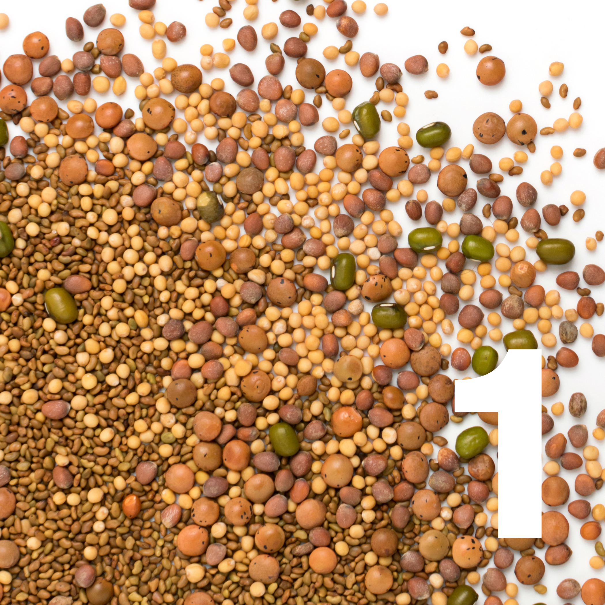 Eco warehouse - Wholesale Kitchen Tool/Gadget - Sprout Huggers ® Sage Green5