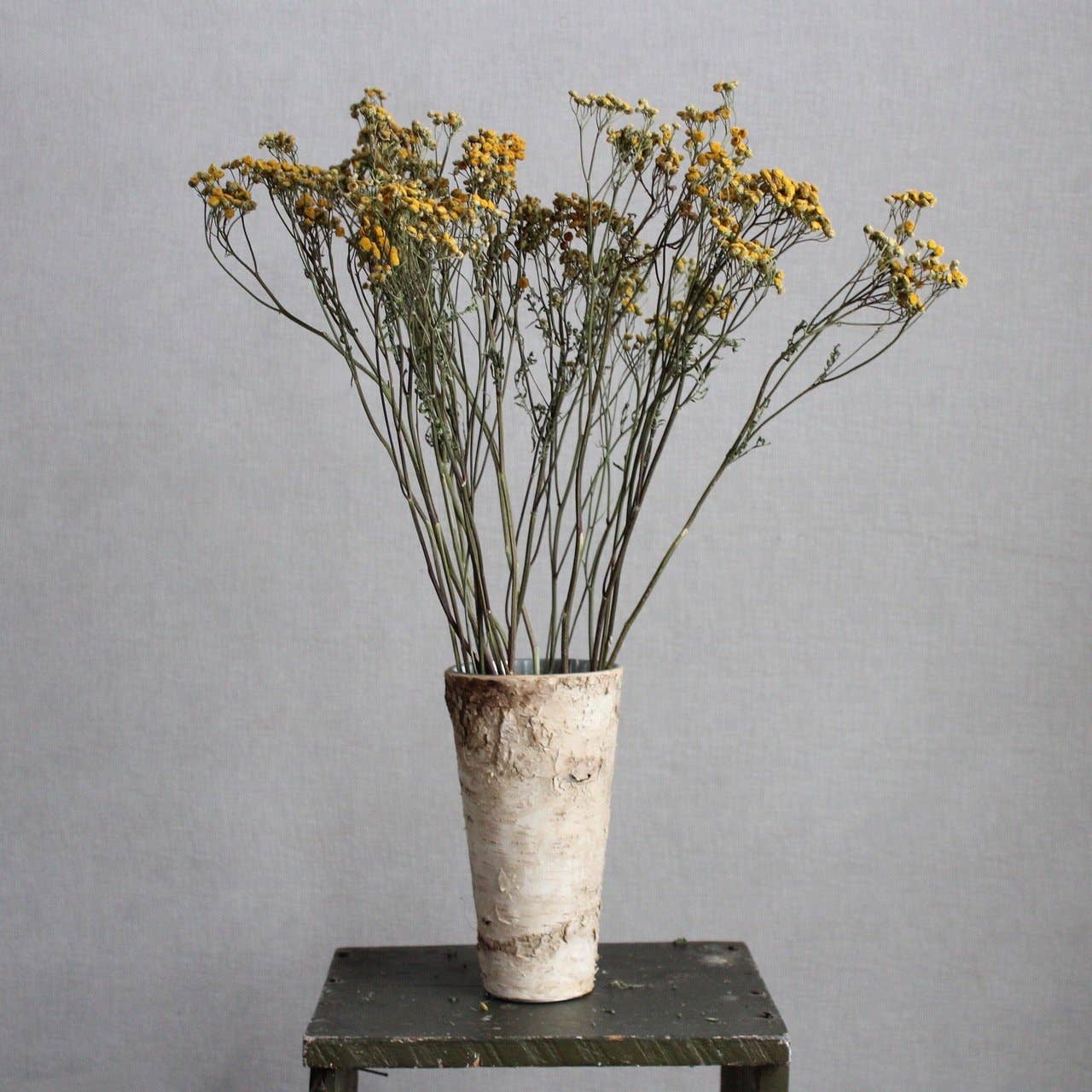 Or naturel Tansy en vente sur Faire3