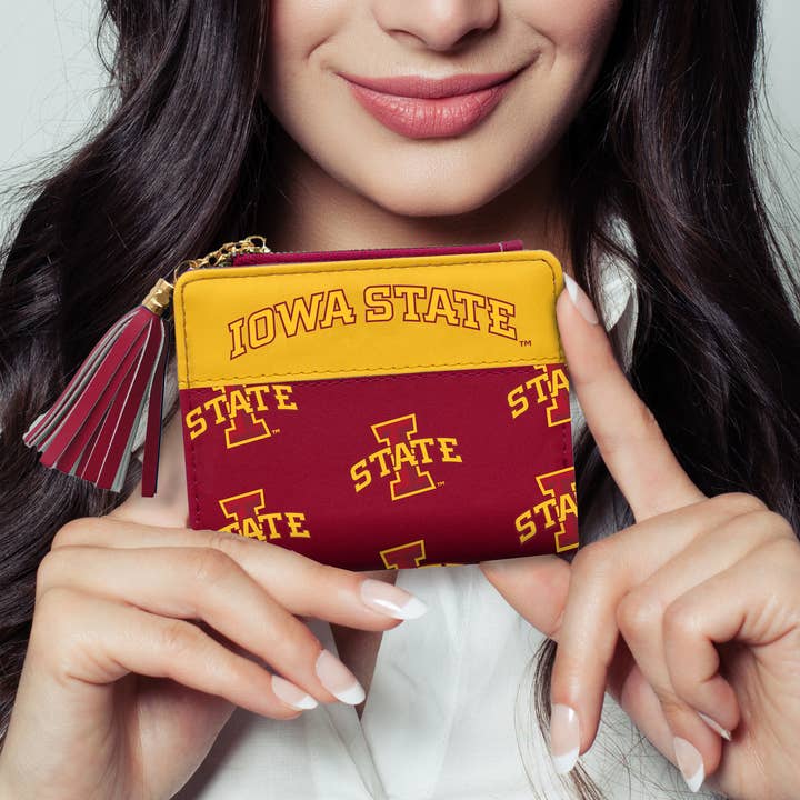 Little Earth Productions - Wholesale Wallet - Unisex - NCAA Iowa State Cyclones Mini Organizer3
