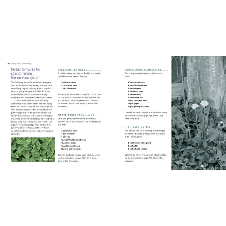 Hachette Book Group - Wholesale Medical Health Book - Rosemary Gladstar's Herbal Recipes For Vibrant Health3