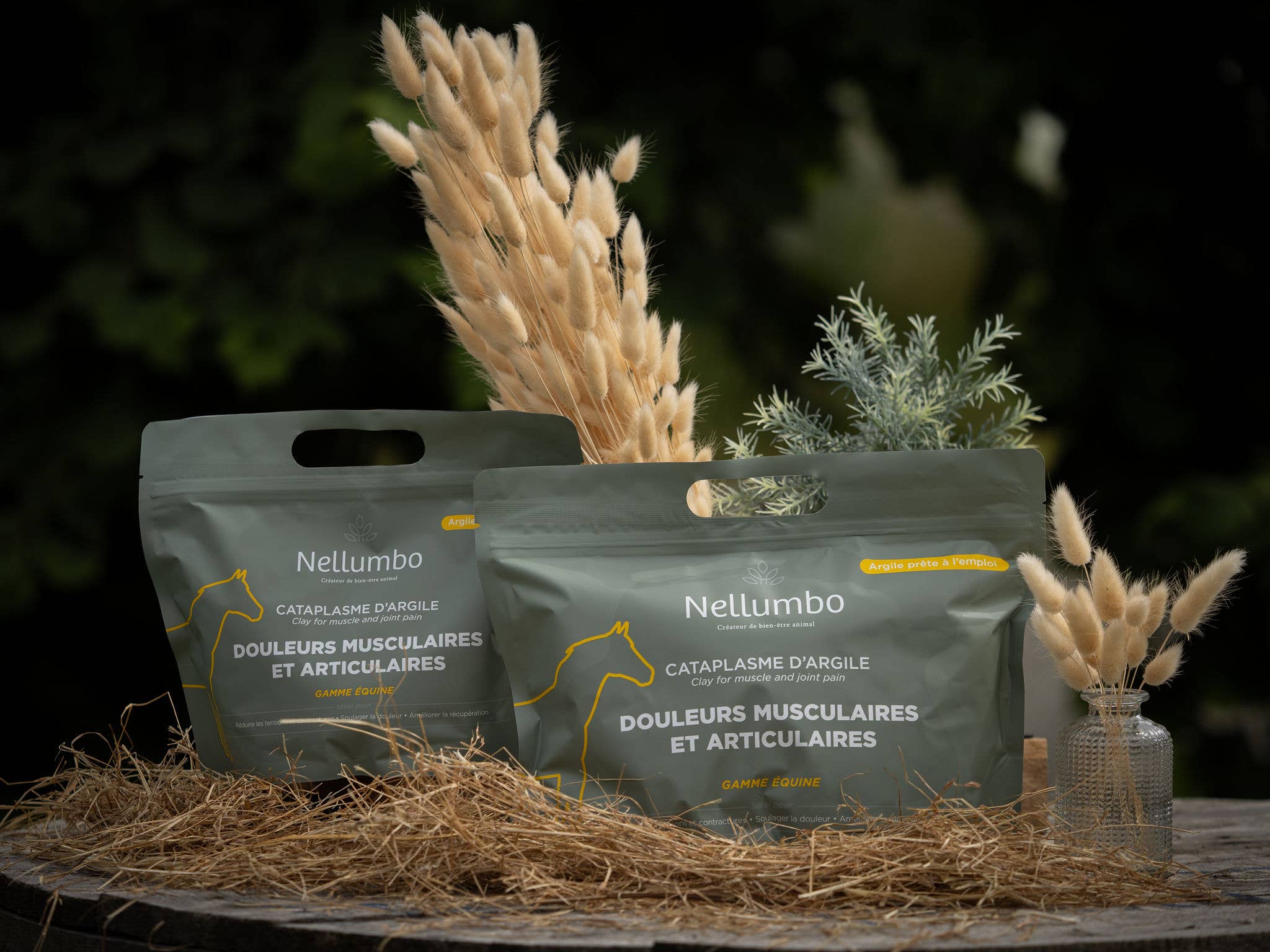 Nellumbo – wholesale Horse conditioner/grooming aid – Discovery care pack for horses9