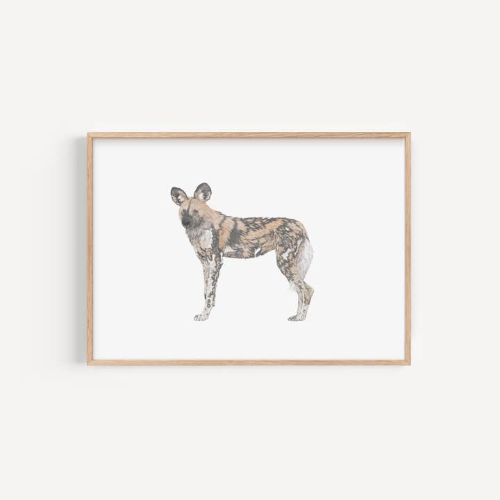 Impression de chien sauvage africain pour la vente par Lauren Fitton Illustration